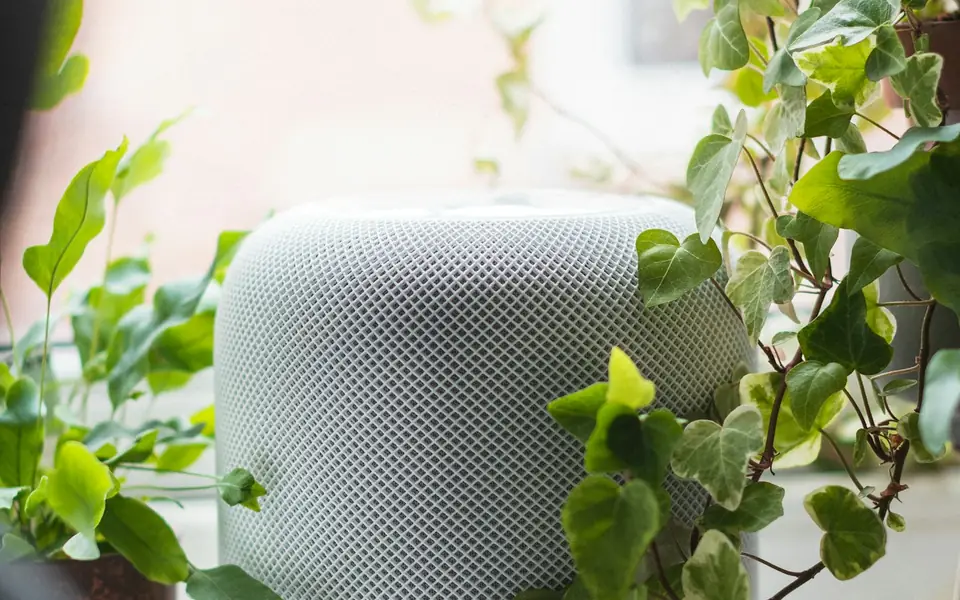 Smart speaker on a shelf beside plants